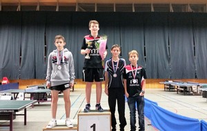 Pluie de médailles aux Rhône-Lyon Jeunes  2015